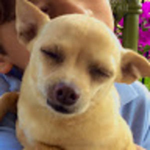 Meet your Posher, Messa